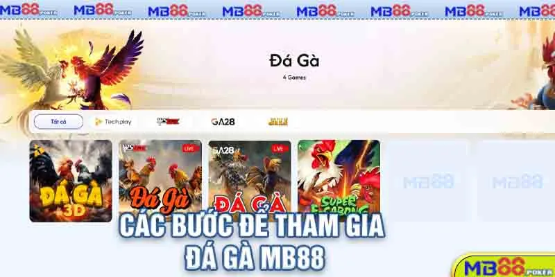 Đá Gà MB88: Trải Nghiệm Trực Tuyến Hấp Dẫn Cho Kê Thủ 4 Các bước để tham gia đá gà MB88