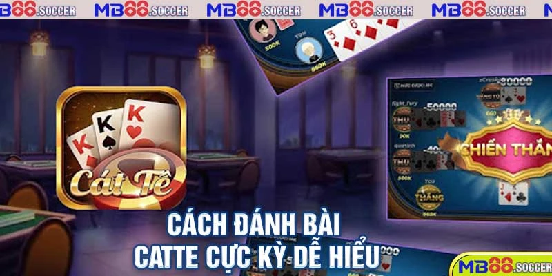 Cách đánh bài Catte cực kỳ dễ hiểu