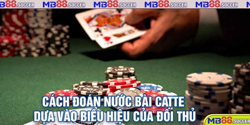 Cách đoán nước bài Catte để đem về tiền thưởng khủng cho người mới 2 Cách đoán nước bài Catte dựa vào biểu hiệu của đối thủ