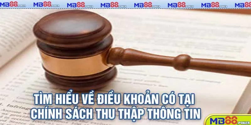 Tìm hiểu về điều khoản có tại chính sách thu thập thông tin