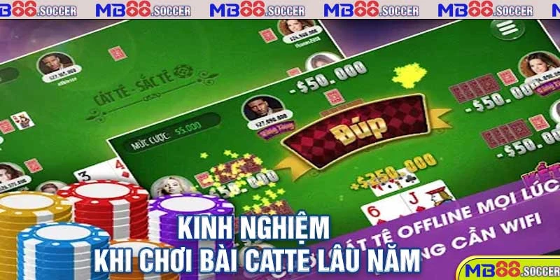 Bài Catte có khó như lời đồn? Hướng dẫn cách chơi đơn giản 2 Kinh nghiệm khi chơi bài Catte lâu năm