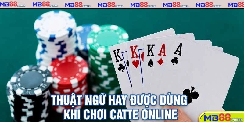 Catte online - Sự trở lại của vua game bài bạc Mb88.Poker 2 Thuật ngữ hay được dùng khi chơi Catte online
