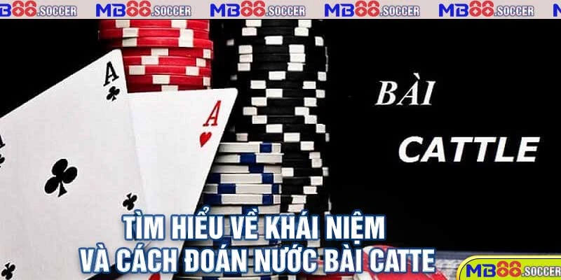 Tìm hiểu về khái niệm và cách đoán nước bài Catte